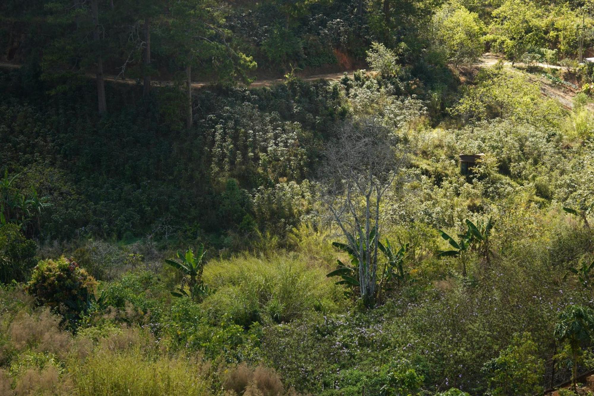 Emai Valley دالات المظهر الخارجي الصورة